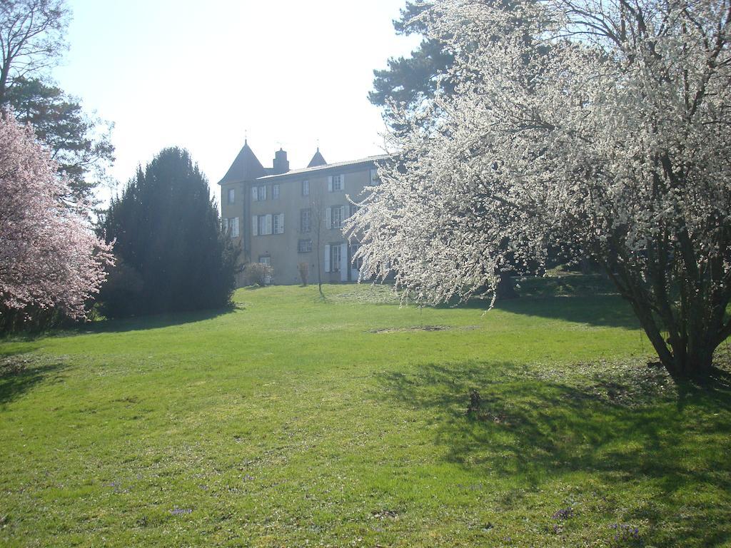 Château de Bourrassol Menetrol Exterior foto
